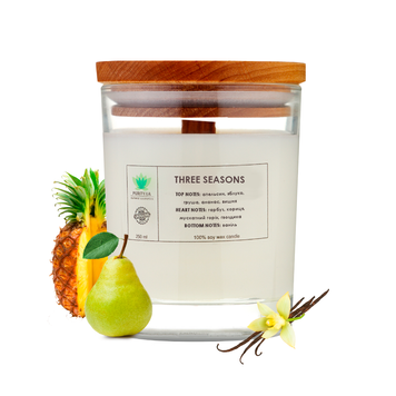 Aroma candle Three seasons L PURITY 150 g