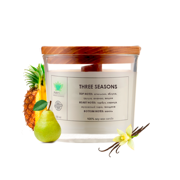 Aroma candle Three seasons S PURITY 60 g